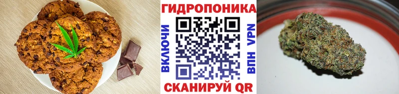 купить закладку Карпинск Печенье с ТГК марихуана