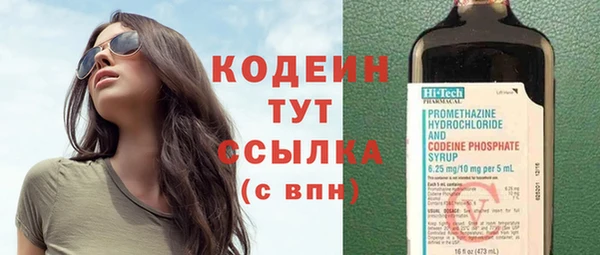 прущие грибы Каменка