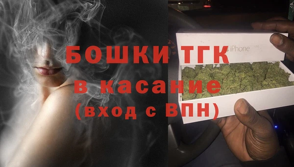 прущие грибы Каменка