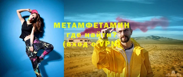 прущие грибы Каменка
