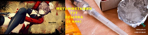 прущие грибы Каменка