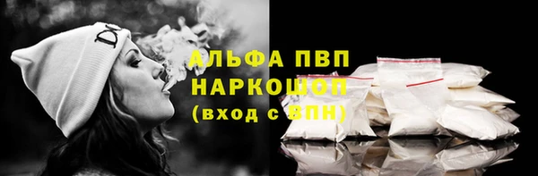 прущие грибы Каменка