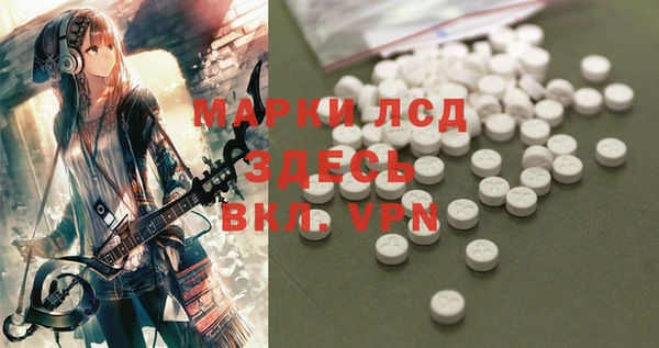 прущие грибы Каменка