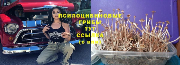 прущие грибы Каменка