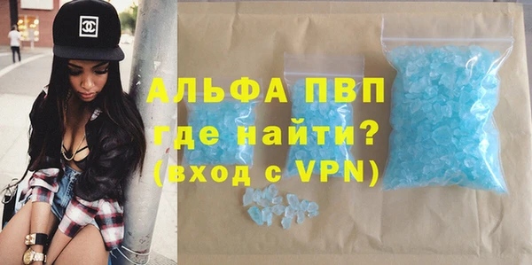прущие грибы Каменка