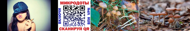 Псилоцибиновые грибы GOLDEN TEACHER mega Карпинск