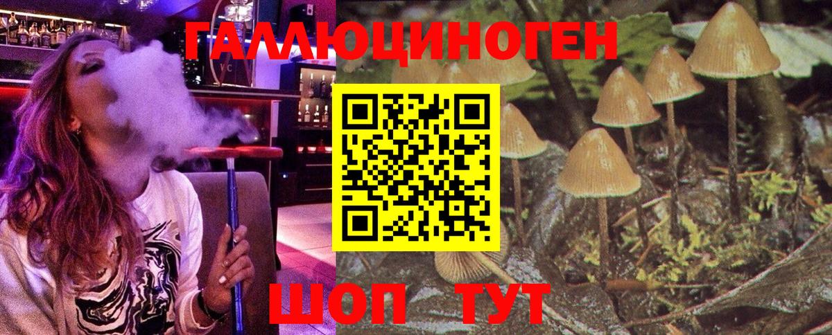 Галлюциногенные грибы мухоморы Карпинск